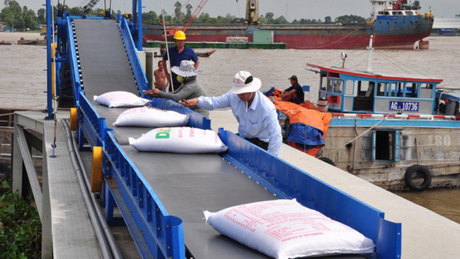 Phân bổ hạn ngạch thuế quan gạo Việt xuất khẩu theo EVFTA